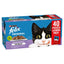 Felix Original Mixed Selection in Jelly Wet Cat Food