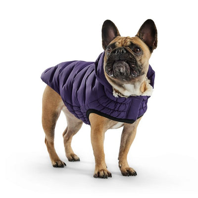 GF Pet Elasto-Fit Cloud Parka Purple Small