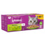 WHISKAS 1+ Cat Pouches in Jelly - Multiple Flavours