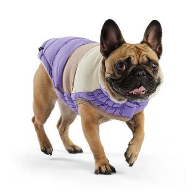 GF Pet Elasto-Fit Colour Block Puffer Purple Medium