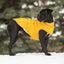 GF Pet Elasto-Fit Insulated Raincoat Yellow XS