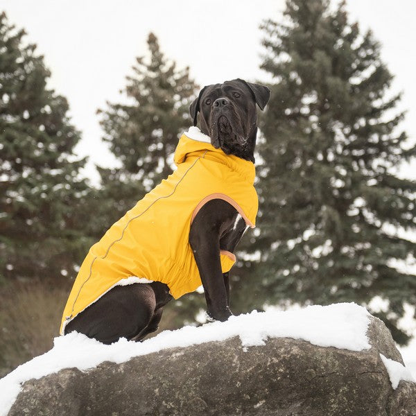 GF Pet Elasto-Fit Insulated Raincoat Yellow Small