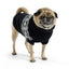 GF Pet Fuzzy Sweater Black Small