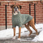 GF Pet Chalet Sweater Sage Small