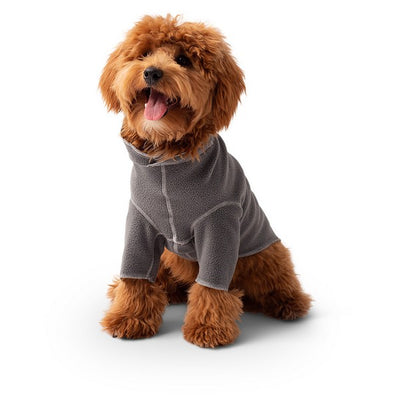 GF Pet Gondola Base Layer Charcoal XS