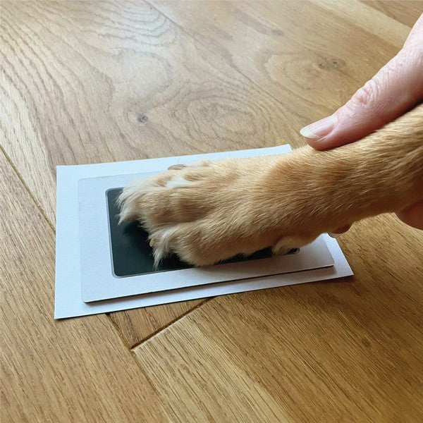 Oh So Precious Puppys First Keepsake Box