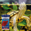 King British Bloodworms 7g