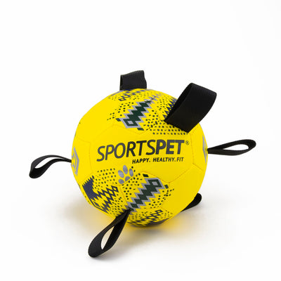 Sportspet Tab Footballs Size 2