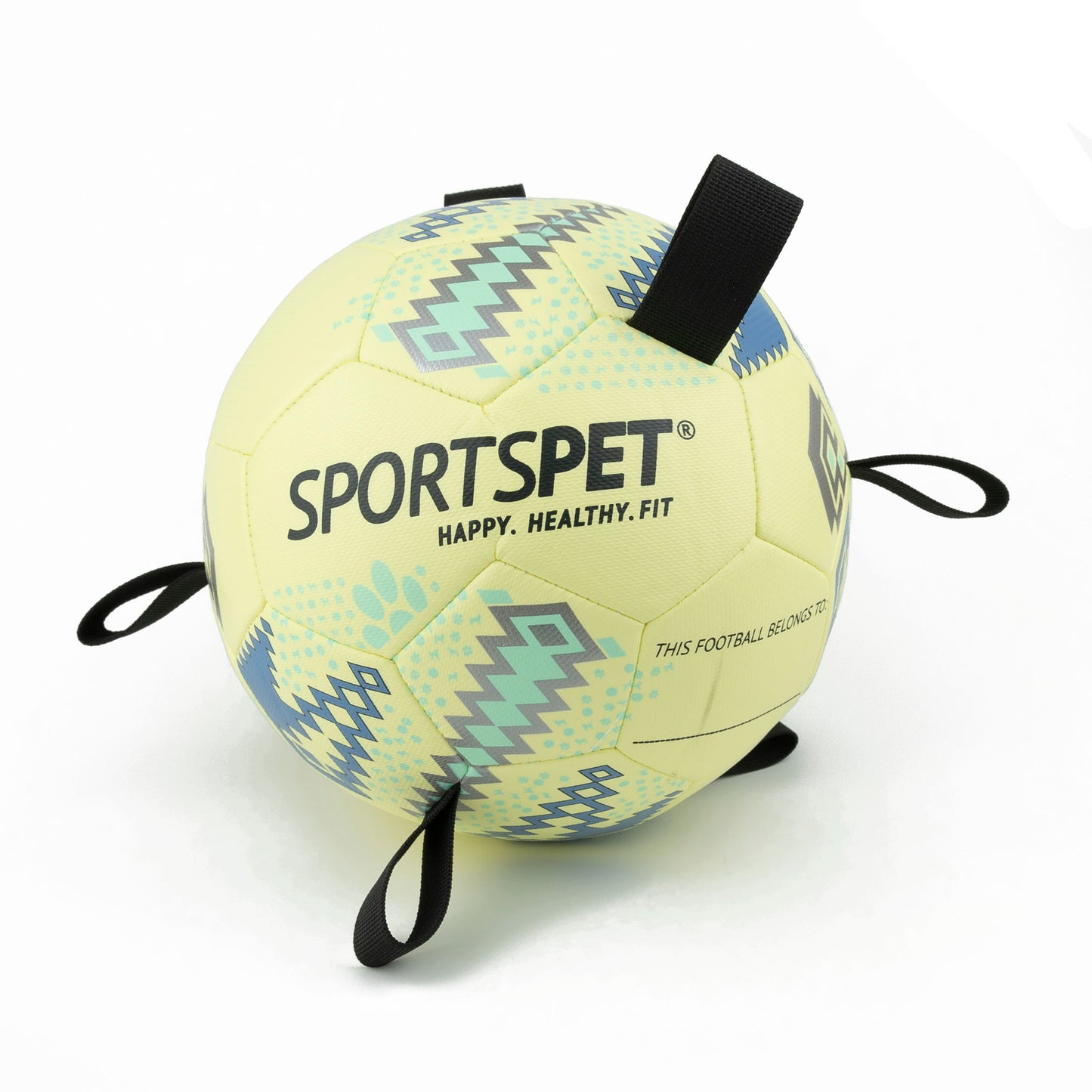 Sportspet Tab Footballs Size 2