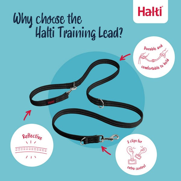 CoA Halti Training Lead Black Large