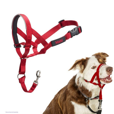 CoA Halti Headcollar Size 2 Red