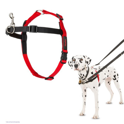 CoA Halti Front Control Harness Black/Red