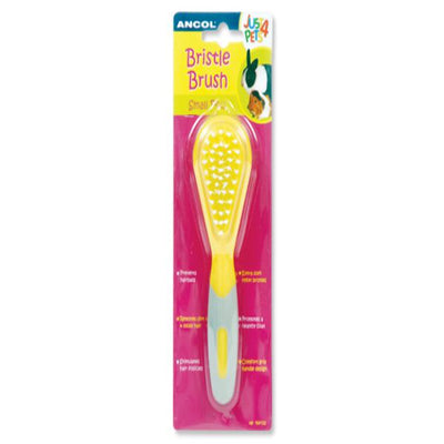 Ancol Small Animal Bristle Brush