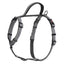 CoA Halti Walking Harness