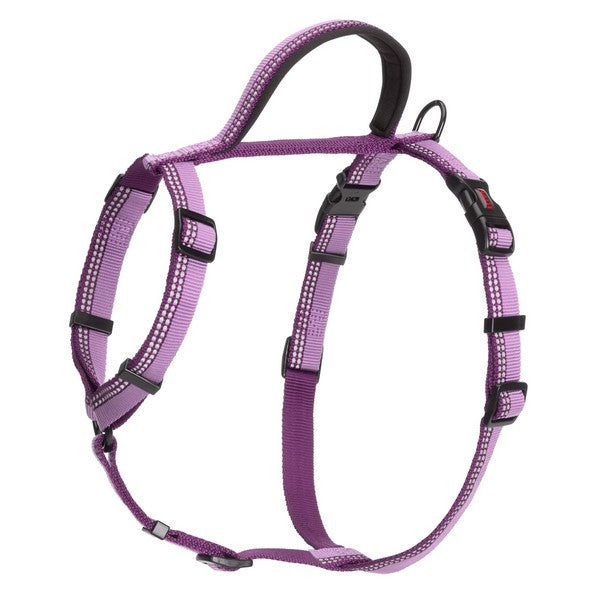 CoA Halti Walking Harness