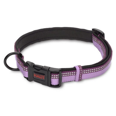 CoA Halti Comfort Collar Purple Small