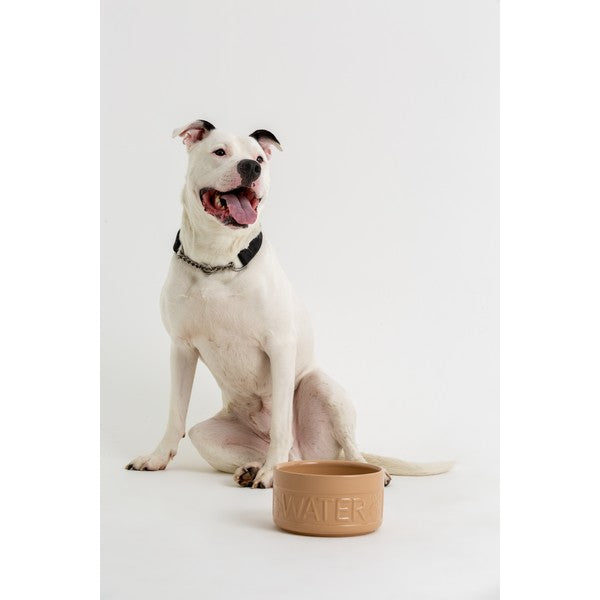 Mason Cash Water Bowl Cane 8Inch