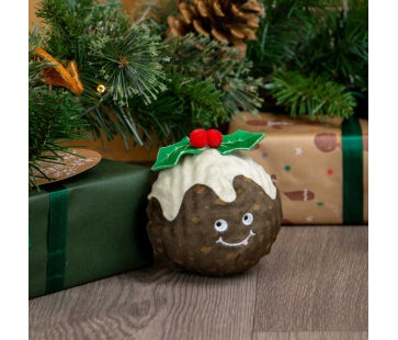 Ancol Bouncing Colin Jr Christmas dog toy