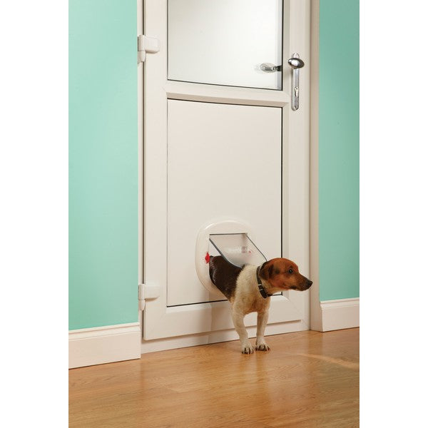 PetSafe Staywell Big Cat Small Dog Pet Door White