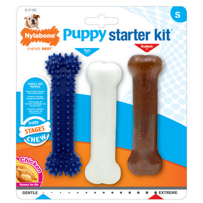 Nylabone Puppy Starter Kit Puppy (Teething/AChew/Healthy)