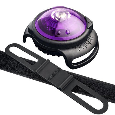 Orbiloc Dog Dual Safety Light