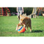 Chuckit! Kick Fetch Small 15cm