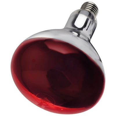 Intelec 250 Watt Ruby Red Glass Infra-Red Bulb