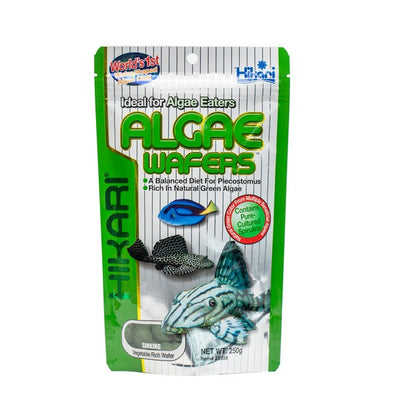 Hikari Algae Wafers [SNG] 250g