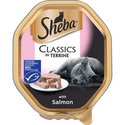 Sheba Classics Cat Tray with Salmon in Terrine 85g