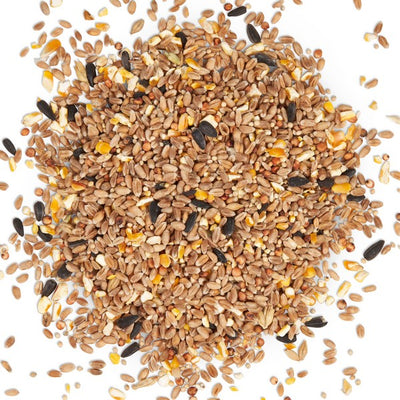 Harrisons Wild Bird Mix 2kg Pouch