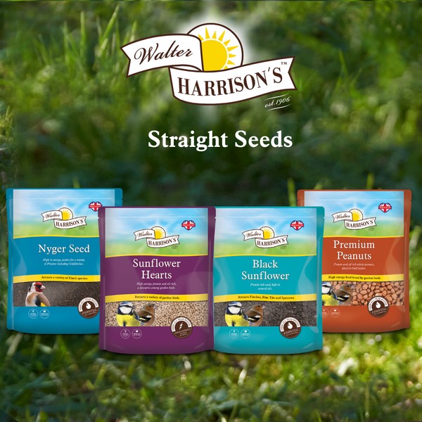 Harrisons Nyger Seed Pouch 2kg