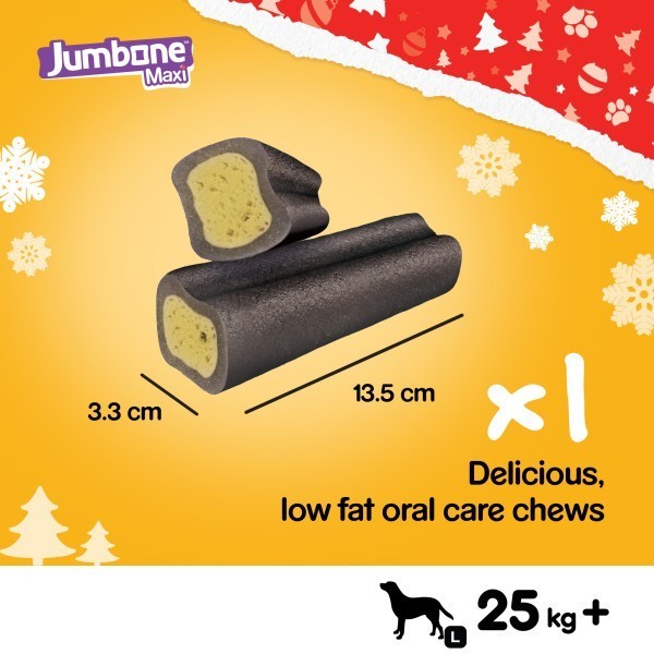 PEDIGREE Christmas Jumbone Large Dog Treat with Turkey Flavour 1 Chew