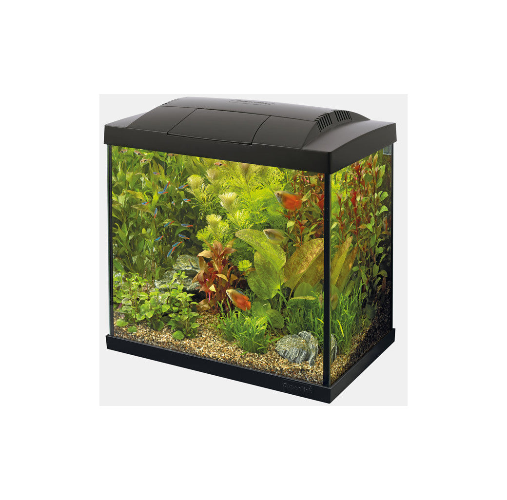 Superfish Start 30 Tropical Aquarium - Black 25 litre