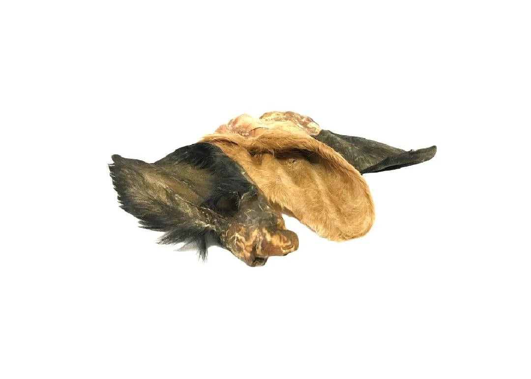 Cow Ears With Hair