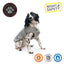 Ancol Stormguard Dog Coat (Various Colours)