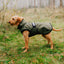 Danish Design 3-In-1 Dog Coat  Medium 41cm