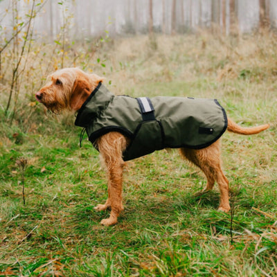 Danish Design 3-In-1 Dog Coat  Medium 41cm