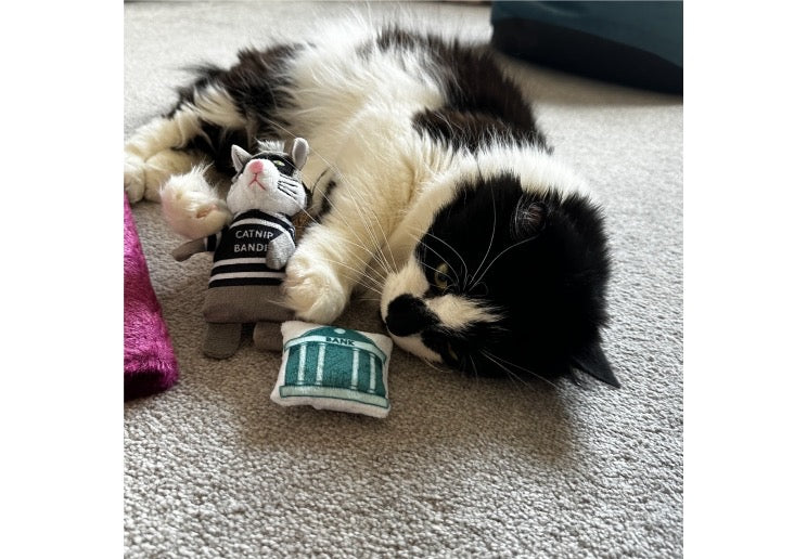 Ancol Catnip Thief 2pc