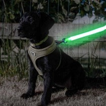 Ancol Hi-Vis Flashing Lead Attachment