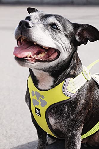 Hurtta Weekend Warrior Harness Neon 45-60cm