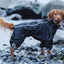 Hurtta Downpour All in One Suit Raven Black 20"M (50cm)