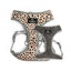 Ancol Soho Patterned Harness