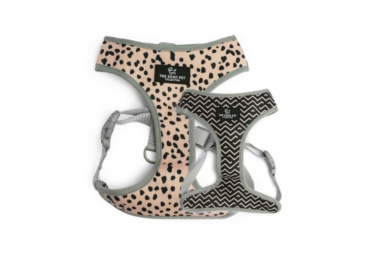 Ancol Soho Patterned Harness