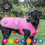 Ancol Stormguard Dog Coat (Various Colours)