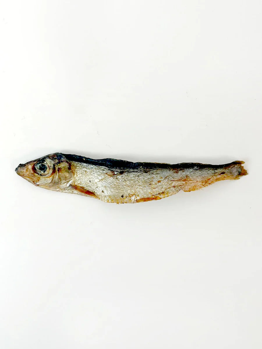 Sprats