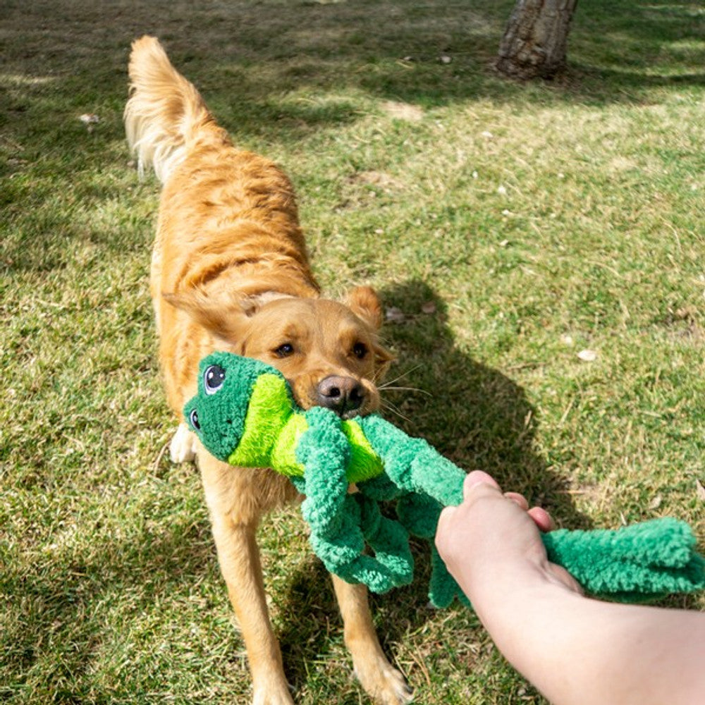 KONG Knots Frog Lg/XL