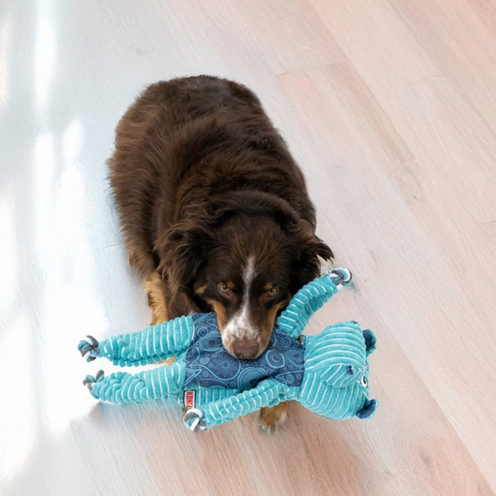 KONG Floppy Knots Hippo