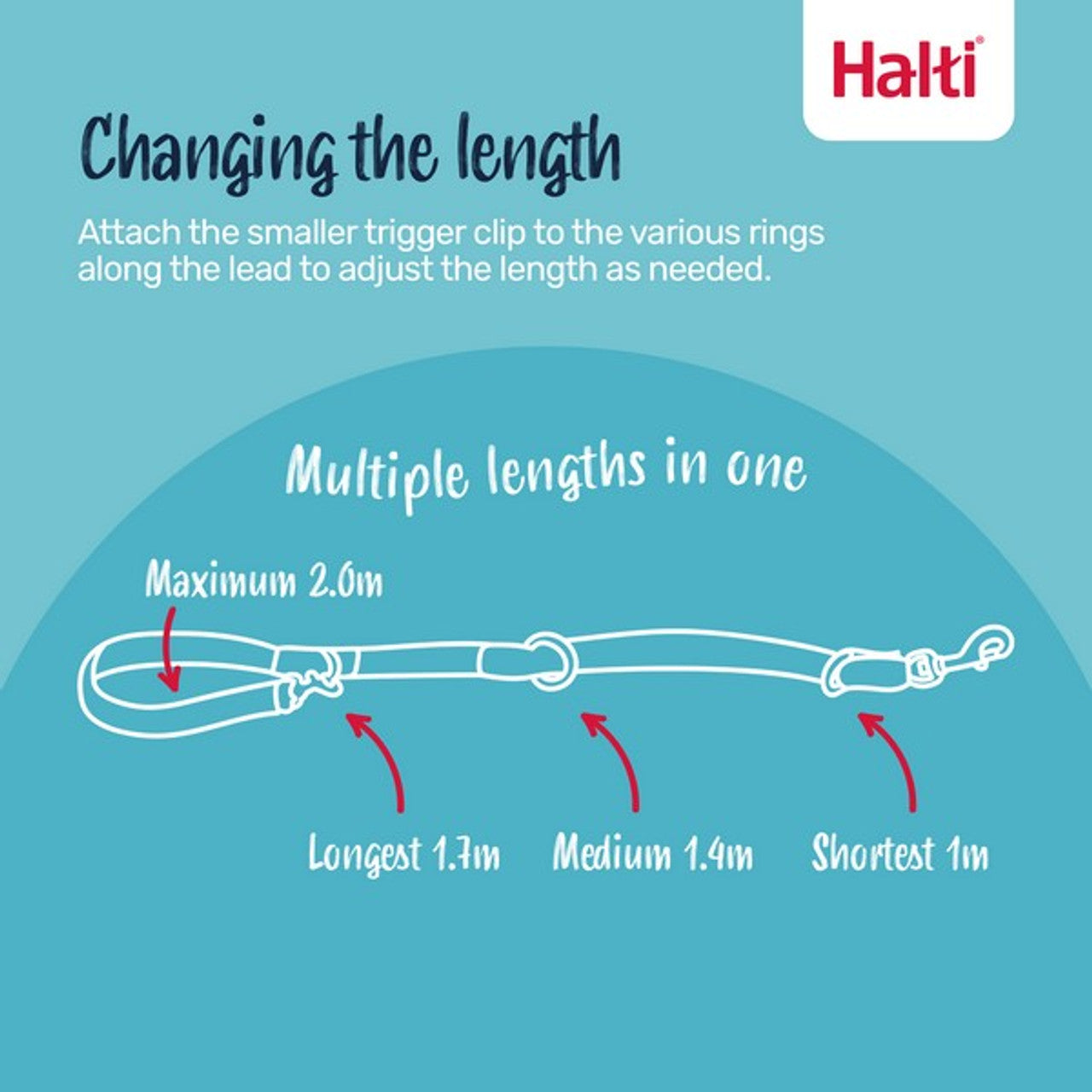 CoA Halti Training Lead